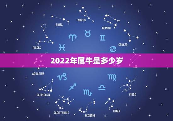 2022年属牛是多少岁,73年属牛人2022年运势 2022年属牛是多少岁,73年属牛人2022年运势