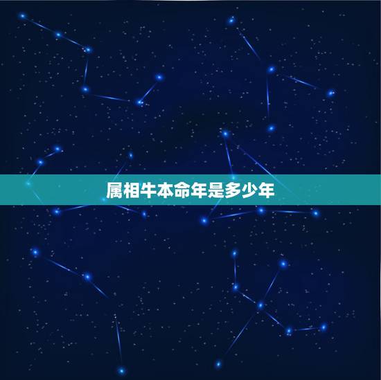 属相牛本命年是多少年，97年属牛的女士本命年是多少岁