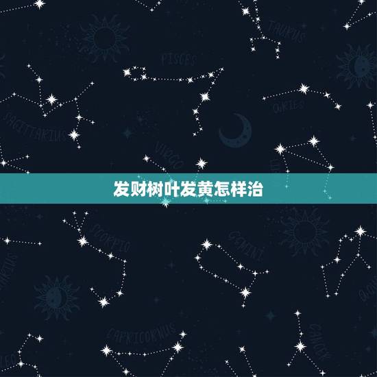 发财树叶发黄怎样治,发财树叶子发黄,成这样了,怎么治 发财树叶发黄怎样治,发财树叶子发黄,成这样了,怎么治