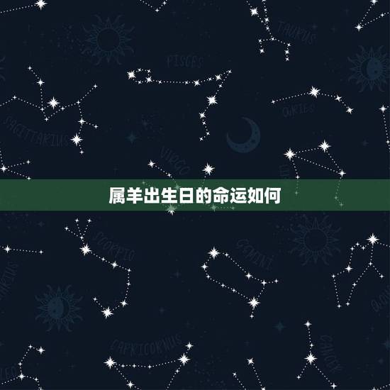 属羊出生日的命运如何，属兔几点出生更好
