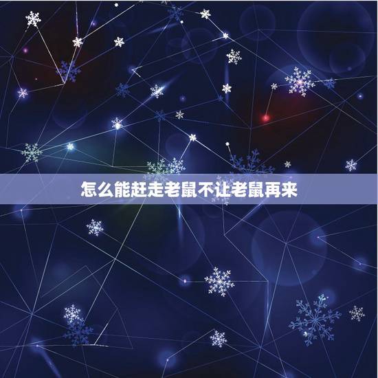 怎么能赶走老鼠不让老鼠再来，怎么不让老鼠进来