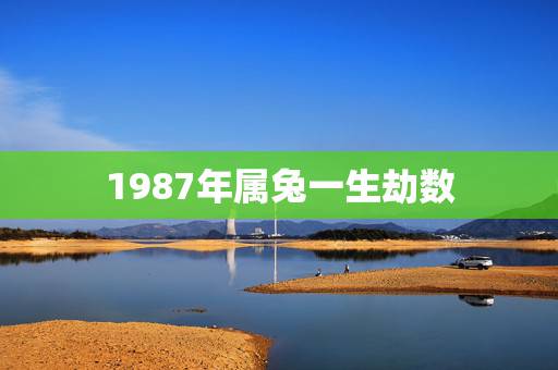 1987年属兔一生劫数，2011年属兔一生大劫年