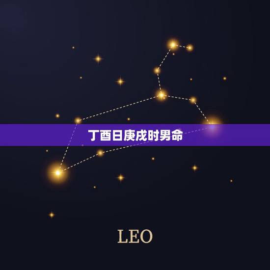 丁酉日庚戌时男命，六丁日生时庚戌