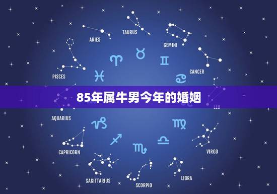 85年属牛男今年的婚姻，属牛的女人命较苦1985