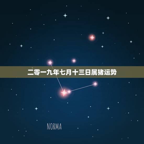 二零一九年七月十三日属猪运势，71年属猪的人2021年的运势及运程