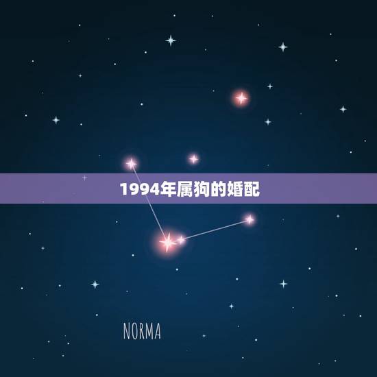 1994年属狗的婚配,1994年属狗男的婚配 1994年属狗的婚配,1994年属狗男的婚配