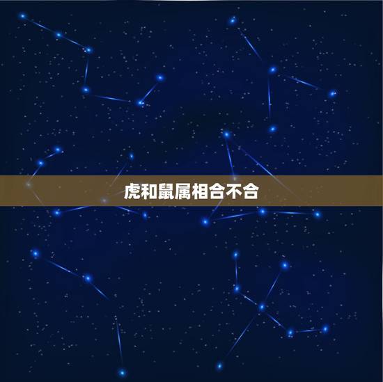 虎和鼠属相合不合，鼠和虎属相合吗
