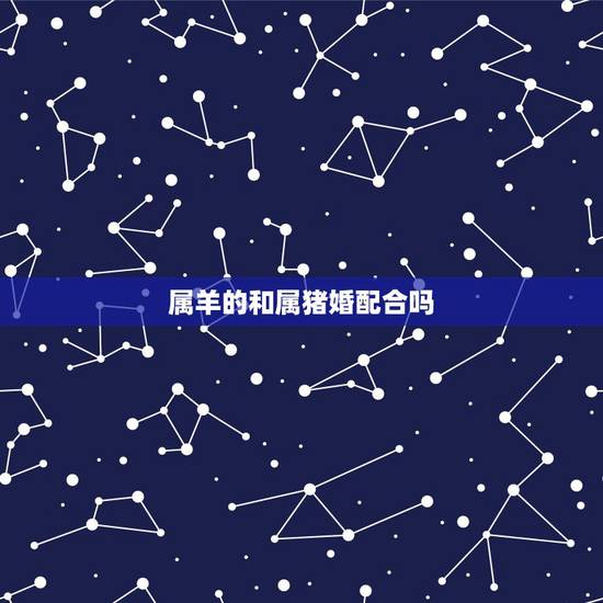 属羊的和属猪婚配合吗,属相婚配:男属兔和女属羊相配吗 属羊的和属猪婚配合吗,属相婚配:男属兔和女属羊相配吗