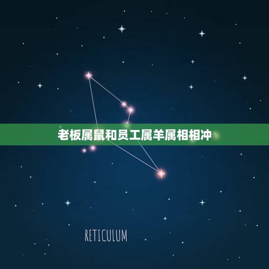 老板属鼠和员工属羊属相相冲，属鼠和属羊的相冲吗