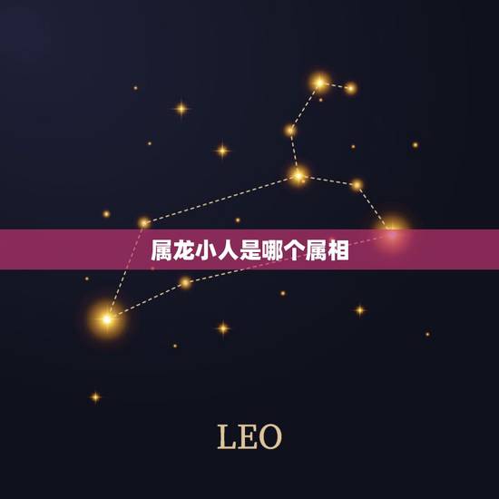 属龙小人是哪个属相，2022 年必招小人报复的生肖