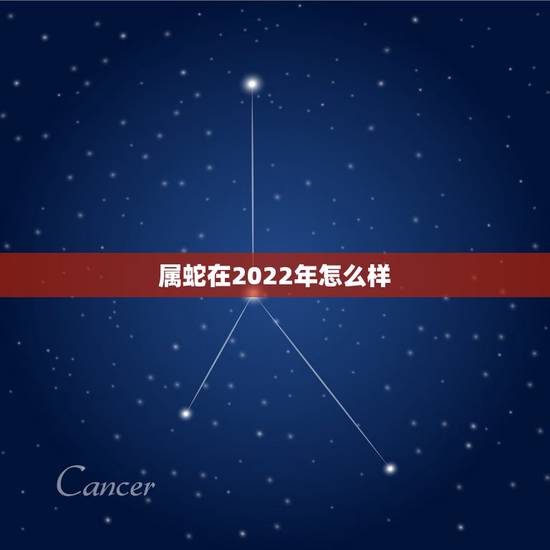 属蛇在2022年怎么样 属蛇的2022年干啥活好