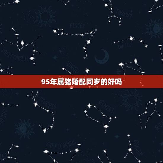 95年属猪婚配同岁的好吗，95年属猪的和96年属鼠的般配吗？在一起会怎