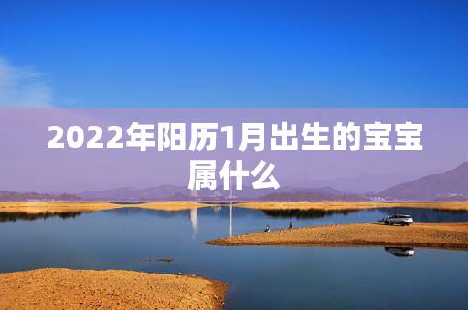 2022年阳历1月出生的宝宝属什么,阳历2022年1月出生的牛宝宝好不 2022年阳历1月出生的宝宝属什么,阳历2022年1月出生的牛宝宝好不