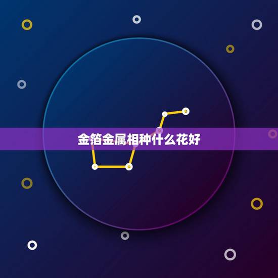 金箔金属相种什么花好，种什么花最旺财，十二生肖各不同