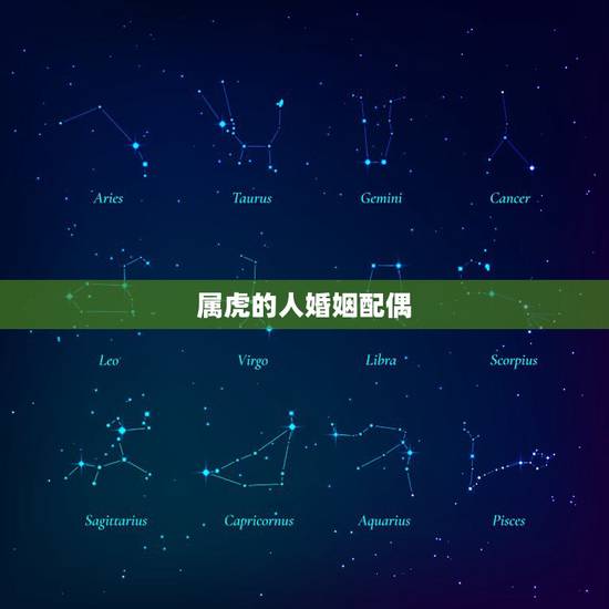 属虎的人婚姻配偶,1986年虎和1986属虎的相配吗 属虎的人婚姻配偶,1986年虎和1986属虎的相配吗