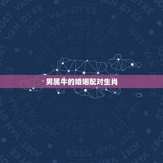 男属牛的婚姻配对生肖，男属牛的属相婚配表