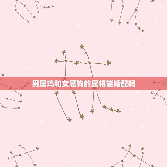 男属鸡和女属狗的属相能婚配吗，男属鸡和女属狗的婚姻好不好