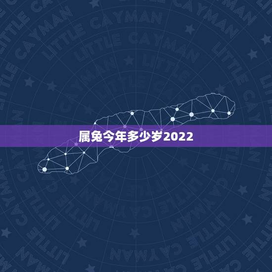属兔今年多少岁2022，1999年兔男2022年运势