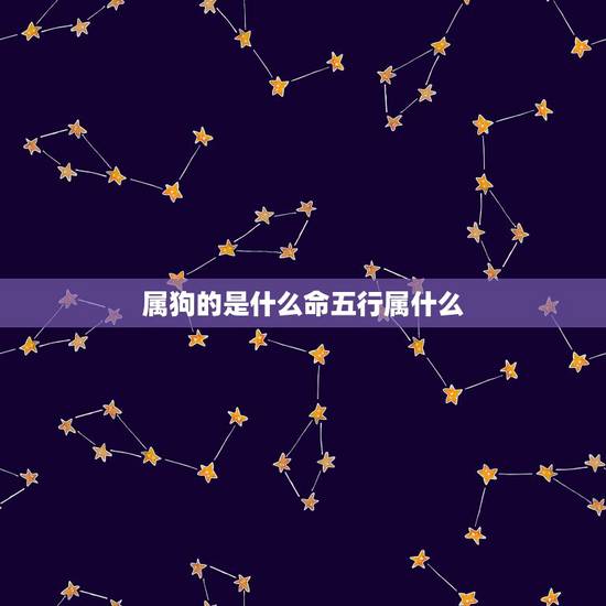 属狗的是什么命五行属什么,2022 年是什么命五行属什么 属狗的是什么命五行属什么,2022 年是什么命五行属什么