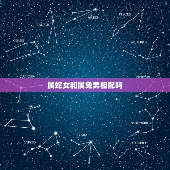 属蛇女和属兔男相配吗,男属兔女属蛇婚姻状况 属蛇女和属兔男相配吗,男属兔女属蛇婚姻状况
