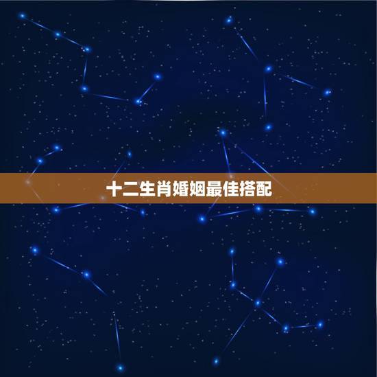 十二生肖婚姻最佳搭配,十二生肖婚姻配对 十二生肖婚姻最佳搭配,十二生肖婚姻配对