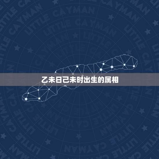 乙未日己未时出生的属相,十二生肖相对应的时辰? 乙未日己未时出生的属相,十二生肖相对应的时辰?