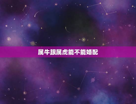 属牛跟属虎能不能婚配,属牛的和属虎的能结婚吗 属牛跟属虎能不能婚配,属牛的和属虎的能结婚吗