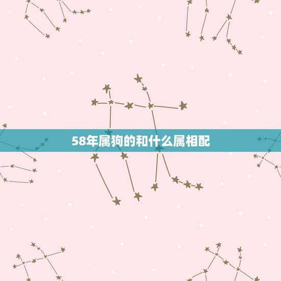 58年属狗的和什么属相配，58年属狗的和64年属龙的能八字合吗