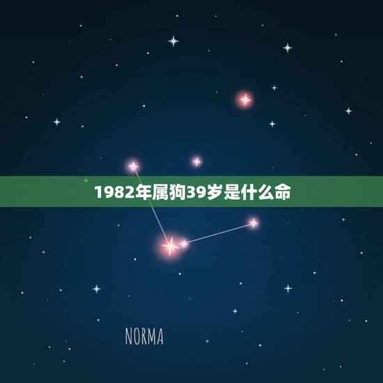 1982年属狗39岁是什么命,1982年属狗是什么命 1982年出生人 1982年属狗39岁是什么命,1982年属狗是什么命 1982年出生人