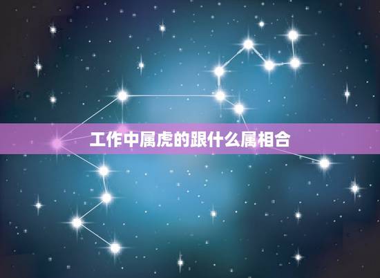 工作中属虎的跟什么属相合，属虎的人有什么性格和什么属相最配