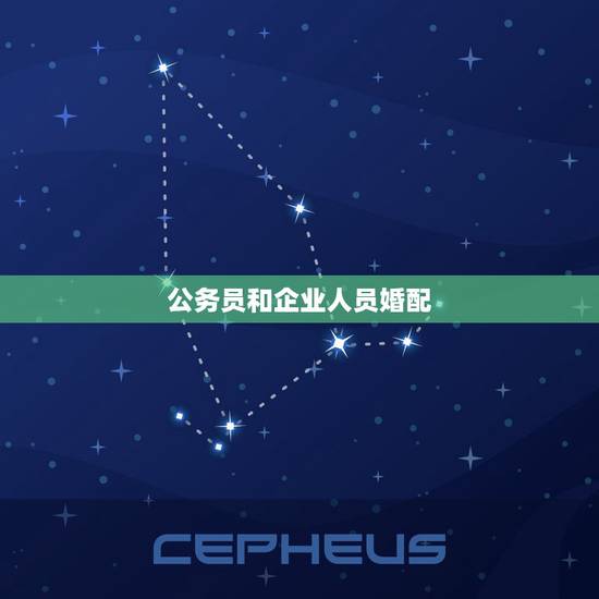 公务员和企业人员婚配，公务员和国企员工有什么区别？