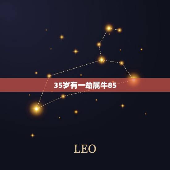 35岁有一劫属牛85，属牛用什么头像