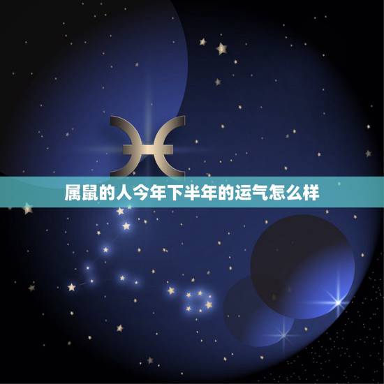 属鼠的人今年下半年的运气怎么样，鼠生肖今日运势