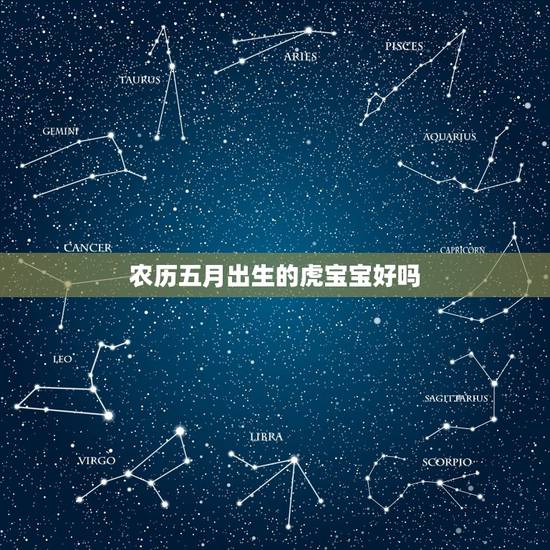农历五月出生的虎宝宝好吗,2022年属虎的旺月 农历五月出生的虎宝宝好吗,2022年属虎的旺月