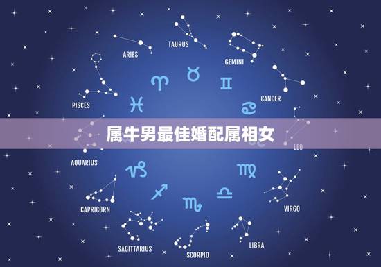 属牛男最佳婚配属相女,男孩子属牛和哪个属相的女孩子最合适结婚? 属牛男最佳婚配属相女,男孩子属牛和哪个属相的女孩子最合适结婚?