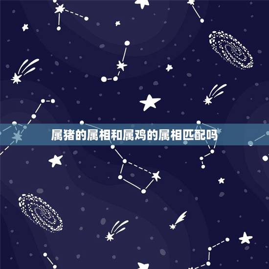 属猪的属相和属鸡的属相匹配吗,属鸡和什么属相最配 属猪的属相和属鸡的属相匹配吗,属鸡和什么属相最配