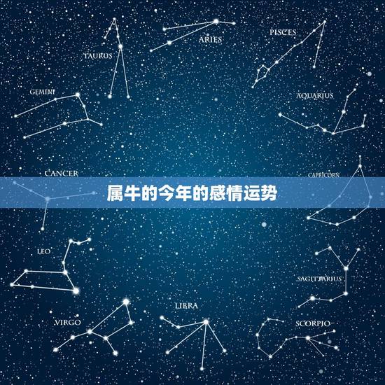 属牛的今年的感情运势，2022 年属牛男婚姻运势