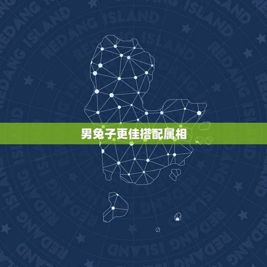 男兔子更佳搭配属相,属兔和属虎的合不合 男兔子更佳搭配属相,属兔和属虎的合不合