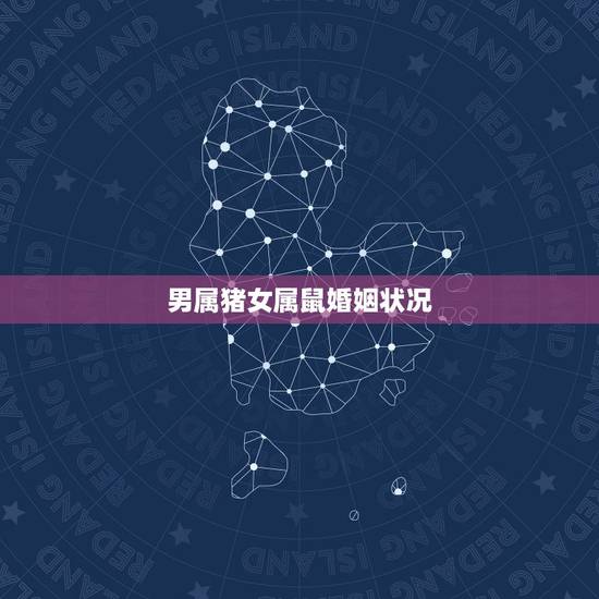 男属猪女属鼠婚姻状况，属猪人和属鼠人合不合