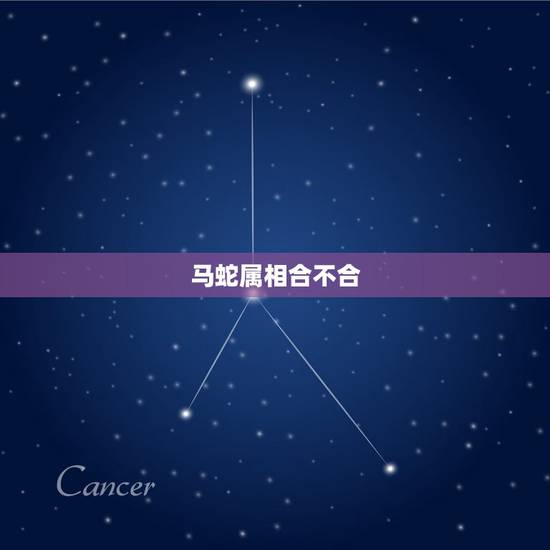 马蛇属相合不合，马和蛇属相相配吗