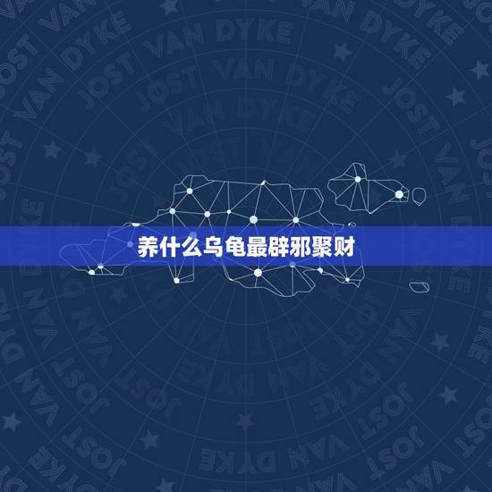 养什么乌龟最辟邪聚财,从风水上说卧室放什么摆件招财旺财又辟邪 养什么乌龟最辟邪聚财,从风水上说卧室放什么摆件招财旺财又辟邪