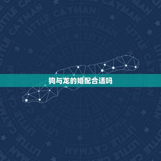 狗与龙的婚配合适吗，狗和龙生肖做夫妻好吗