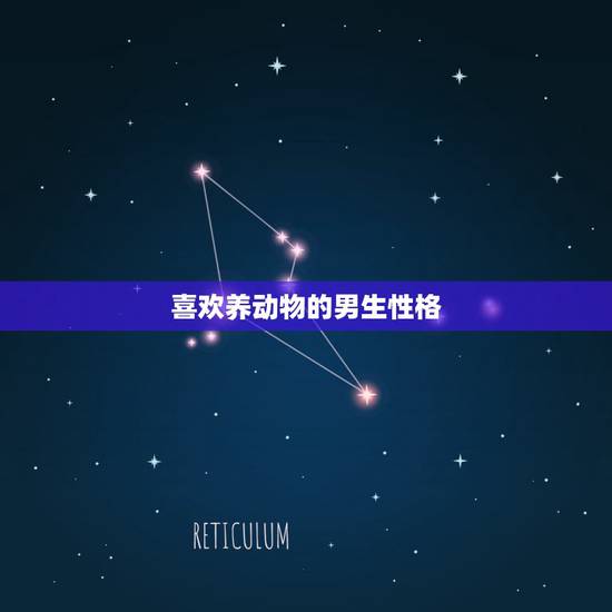 喜欢养动物的男生性格，喜欢养小动物的男人是什么性格？