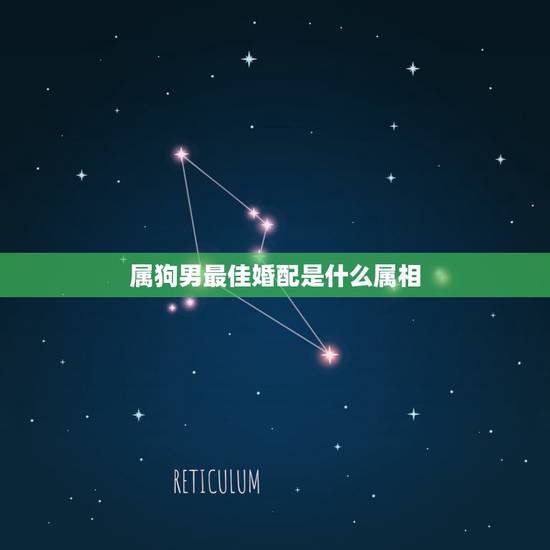 属狗男最佳婚配是什么属相,属狗男最佳配偶是什么生肖 属狗男最佳婚配是什么属相,属狗男最佳配偶是什么生肖