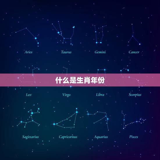 什么是生肖年份