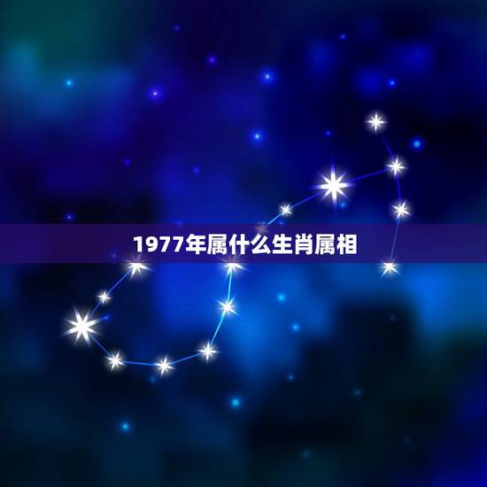 1977年属什么生肖属相,1977年属什么生肖 1977年属什么生肖属相,1977年属什么生肖