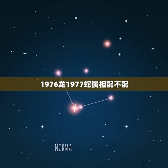 1976龙1977蛇属相配不配，1977年属蛇的人和1976年的龙能结