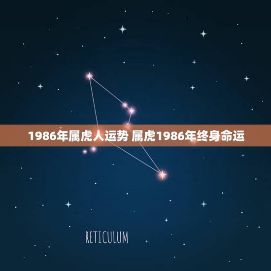 1986年属虎人运势 属虎1986年终身命运 1986年属虎人运势 属虎1986年终身命运