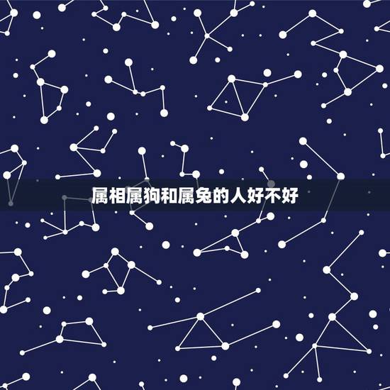 属相属狗和属兔的人好不好，属兔的和属狗的人在一起有财运吗？