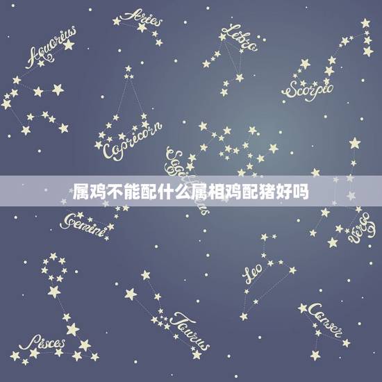 属鸡不能配什么属相鸡配猪好吗，生肖：属鸡的和属猪的能配吗相处吗